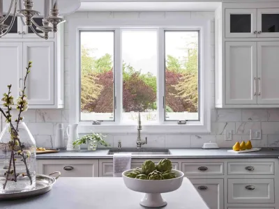 Cabinet Plant of NYC
