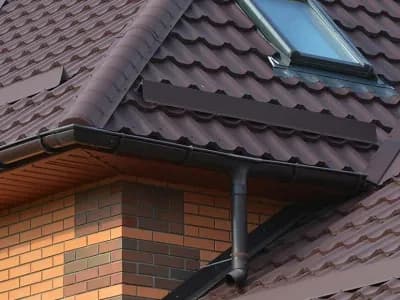 Roof and Gutter Maintenance